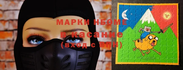 хмурый Инсар