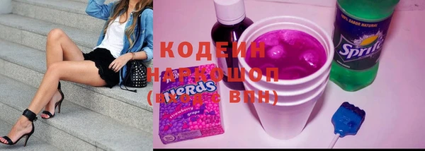 хмурый Инсар