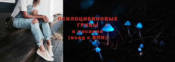 хмурый Инсар