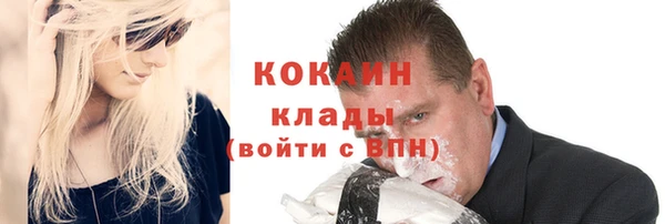хмурый Инсар