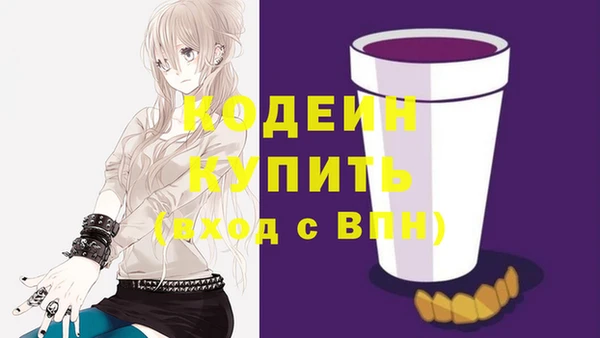 хмурый Инсар