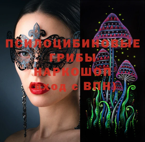 хмурый Инсар