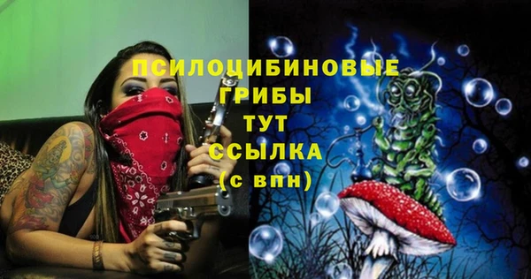 прущая мука Инта