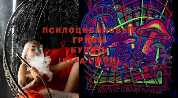 хмурый Инсар