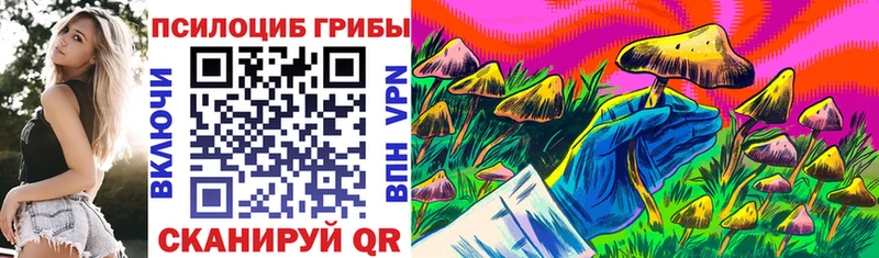 Галлюциногенные грибы MAGIC MUSHROOMS  Купить  Ейск 
